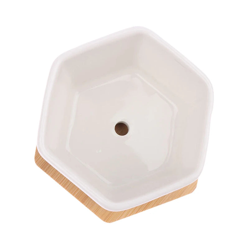 Ceramic Flowerpot White Hexagon Ceramic Pot With Tray European Flowerpot Simple Succulent Plant Container Small Bonsai Pots