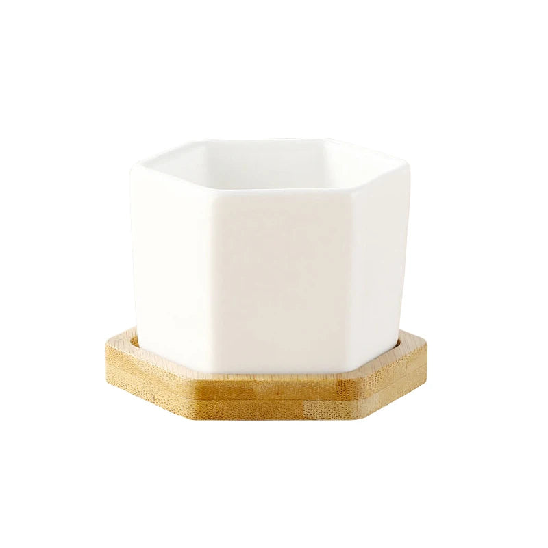 Ceramic Flowerpot White Hexagon Ceramic Pot With Tray European Flowerpot Simple Succulent Plant Container Small Bonsai Pots