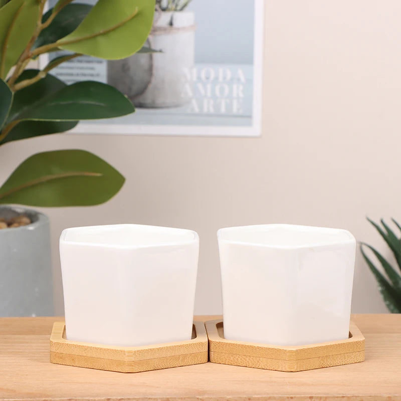 Ceramic Flowerpot White Hexagon Ceramic Pot With Tray European Flowerpot Simple Succulent Plant Container Small Bonsai Pots