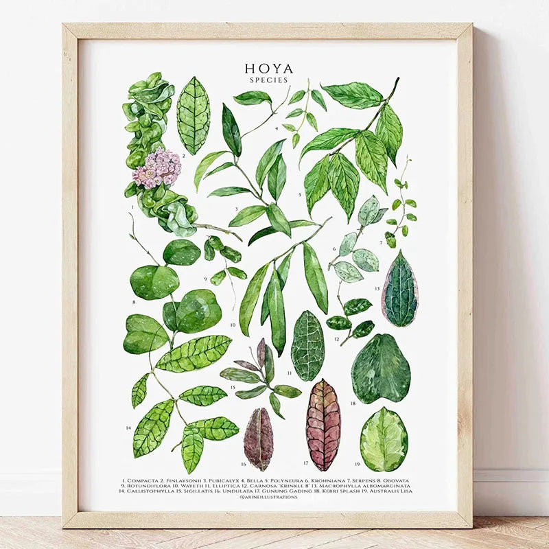 1pc Green Botanical Leaves Interior Art Print Houseplants Nature Indoors Canvas Wall Home Decor Calming Poster Foliage and Plant