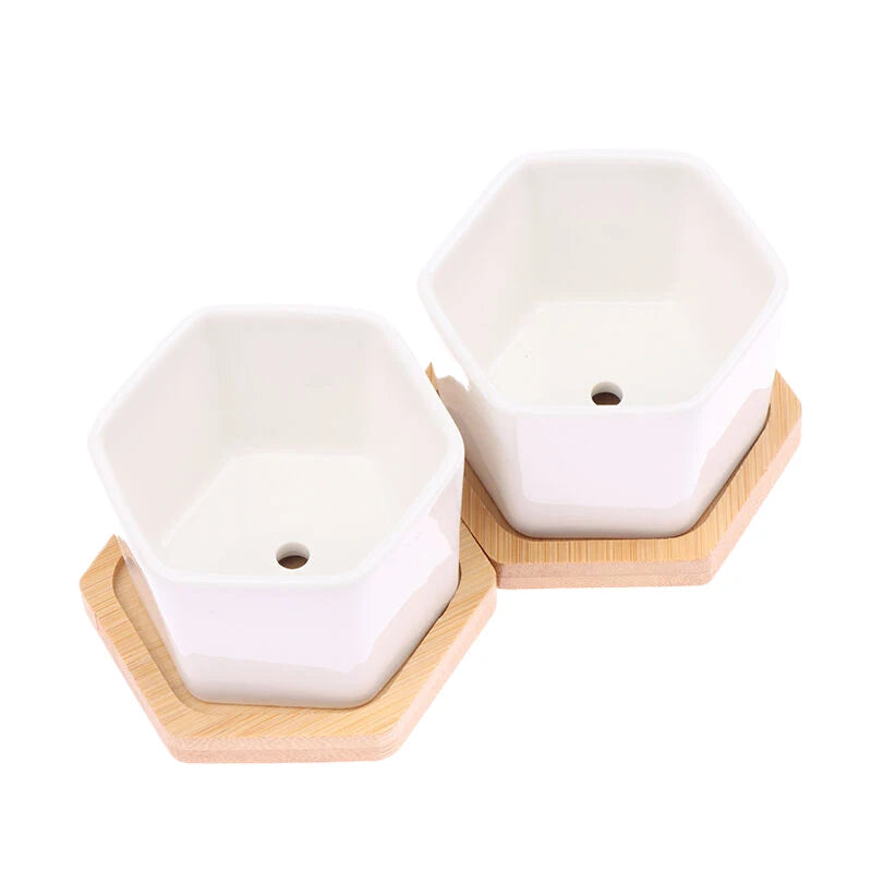 Ceramic Flowerpot White Hexagon Ceramic Pot With Tray European Flowerpot Simple Succulent Plant Container Small Bonsai Pots