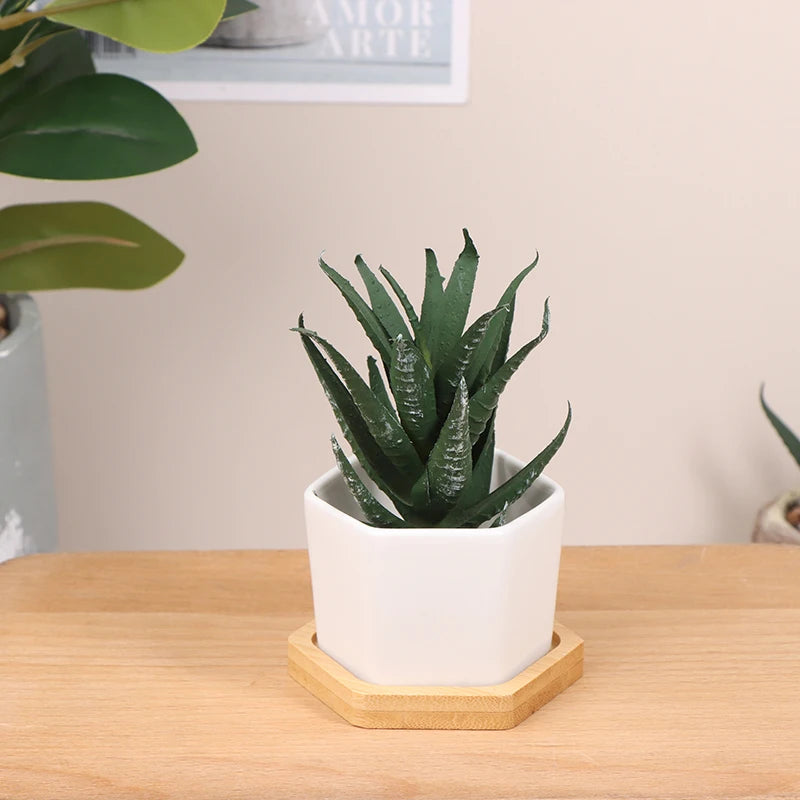 Ceramic Flowerpot White Hexagon Ceramic Pot With Tray European Flowerpot Simple Succulent Plant Container Small Bonsai Pots