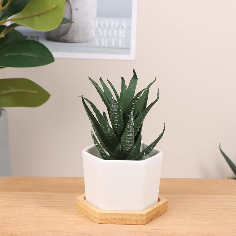 Ceramic Flowerpot White Hexagon Ceramic Pot With Tray European Flowerpot Simple Succulent Plant Container Small Bonsai Pots