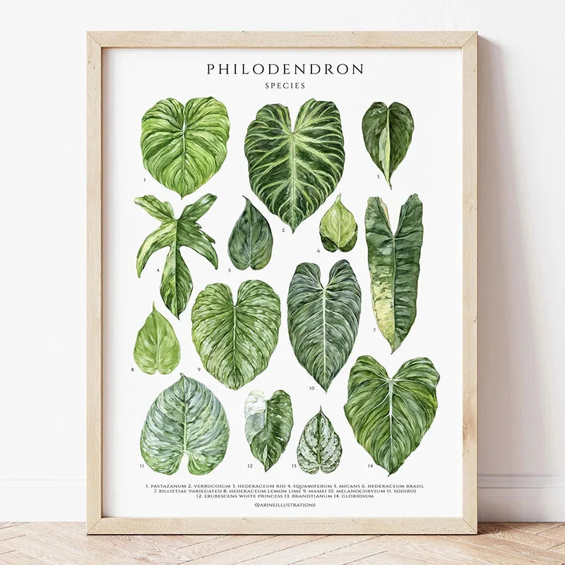 1pc Green Botanical Leaves Interior Art Print Houseplants Nature Indoors Canvas Wall Home Decor Calming Poster Foliage and Plant