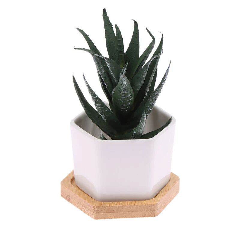 Ceramic Flowerpot White Hexagon Ceramic Pot With Tray European Flowerpot Simple Succulent Plant Container Small Bonsai Pots