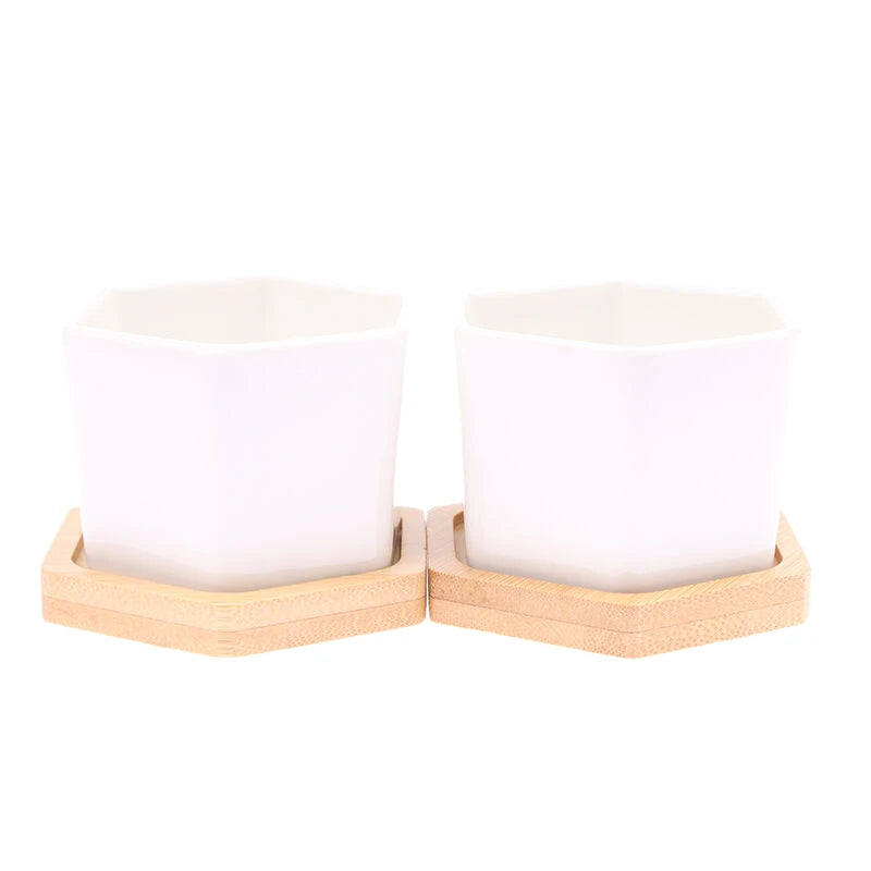 Ceramic Flowerpot White Hexagon Ceramic Pot With Tray European Flowerpot Simple Succulent Plant Container Small Bonsai Pots