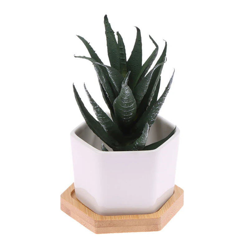 Ceramic Flowerpot White Hexagon Ceramic Pot With Tray European Flowerpot Simple Succulent Plant Container Small Bonsai Pots