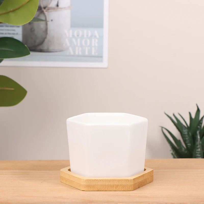 Ceramic Flowerpot White Hexagon Ceramic Pot With Tray European Flowerpot Simple Succulent Plant Container Small Bonsai Pots