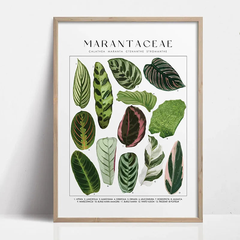 1pc Green Botanical Leaves Interior Art Print Houseplants Nature Indoors Canvas Wall Home Decor Calming Poster Foliage and Plant